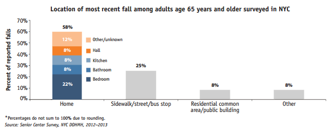 nyc%20senior%20fall%20location.png