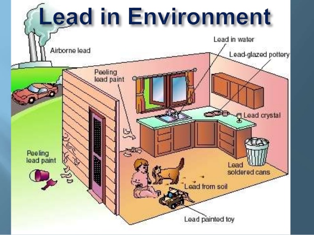 lead-poisoning