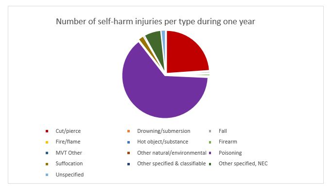 Self-harm injuries per type